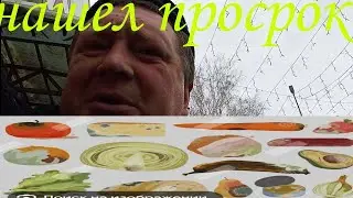 просрок в магазине маленького городка