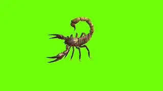 Standing scorpion green screen।cartoon green screen।scorpion green screen।ostad animation