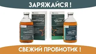 Просто о сложном. Как пробиотики спасают жизнь