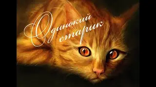 Одинокий старик. Песни старого шарманщика
