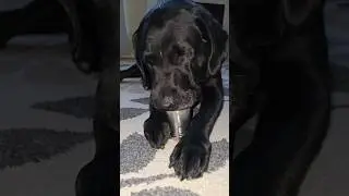 that's why my coffee tastes weird