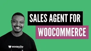Sales Agent for WooCommerce (Setup & Walkthrough)