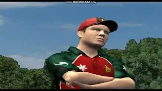 CRICKET 2007 big differnce in graphic playing on low graphic and max graphics