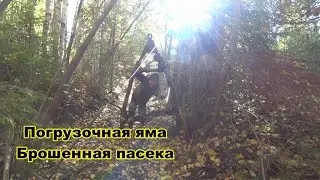 Металлокоп. Прицепное. Вагон на погрузочной яме. Брошенная пасека.