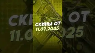 ОБЗОР СКИНОВ ОТ 11 СЕНТЯБРЯ В РАСТ (RUST)