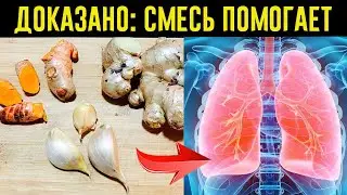 Мощнейшая чистка легких от смол, никотина и токсинов!