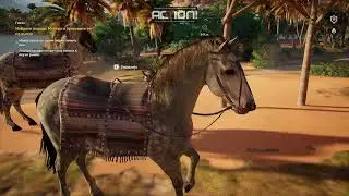 Assasins Creed Истоки: В поисках Гиены