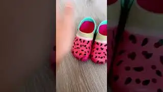 Магия, только не математика😭 #funny #cute #top #shorts #magic #popular