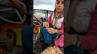 Вот это настоящая рыбалка! Рыба не даёт скучать 🎣🔥 #shorts #fishing #рыбалка #поплавок #девушка
