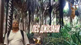 🇹🇿- Я Мзунгу 5 «Лес Джозани».