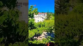 Ливадия, Крым, Россия, 12.08.2023