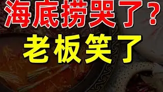 【半佛】揭秘暴利的海底捞！money