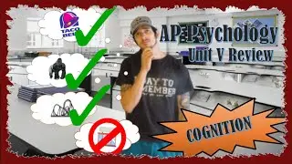 AP Psychology: Unit V Review - Cognition