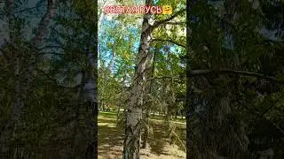 Матушка земля