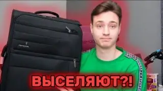 ДОМЕРА ВЫСЕЛЯЮТ?!