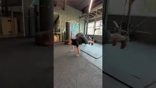HOCKEY TRAINING 