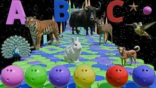 Funny Rolling Bowling Ball and Kinetic Sand Space Adventure: Learn ABC, Animals & Colors for Kids