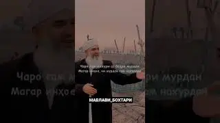 Мавлави Бохтари Чаро гам мехури аз бахри мурдан ☝🏽