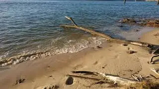 My Island Home
