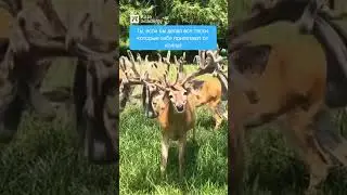 Начинаем неделю с юмором 😁