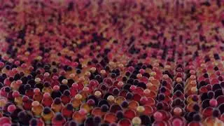 Satisfying mograph animation [Blender animation]