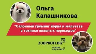 Ольга Калашникова. Техника плавных переходов. Мастер-класс стрижка йорка и стрижка мальтезе.