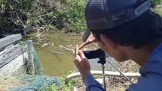 mancing di selayar city sidoarjo