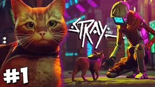 Stray - Киберпанковый опенворлд про котана