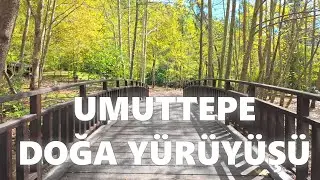 Günübirlik Doğa Yürüyüşü | Kocaeli Umuttepe'de 11.5 KM Orman Yolu Yürüyüşü