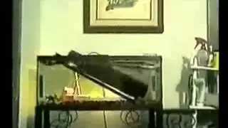 Приколы с животными
