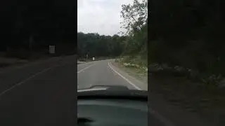 9 августа 2024 г.