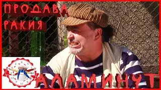 АЛАМИНУТ - 