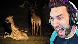 ¡ANIMALES del ZOOLOGICO de ZOOCHOSIS en la VIDA REAL!