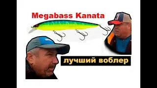 Воблер лучший для щуки Megabass KANATA