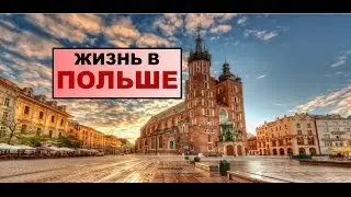 Налог на собаку в Польше