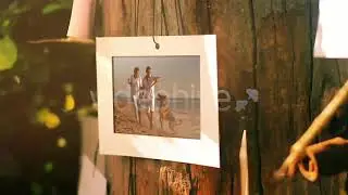 Sunny Memories Photo Gallery | After Effects Project Files - Videohive template