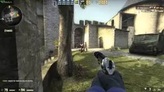 Counter Strike Global USP Tactical USP-S | Torque