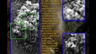 Vita su Marte: La Phoenix scopre microorganismi Vivi!