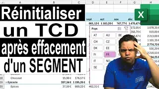 Effacer un Segment et Réinitialiser le TCD