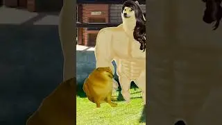 QUASE M0RRI COM UMA PICADA DE INSETO