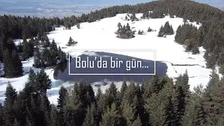 Bolu'da iglo yapmayı başardık... Fotokapana da sürpriz hayvanlar takılmış.