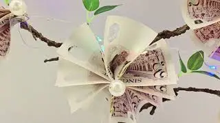 Morning Glory Money Flower