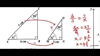Questions 51, 52, 53, 54. 55. 56, 57| CXC CSEC June 2024 Multiple Choice SOLUTION
