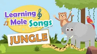 Jungle Animals Song for Kids | Jungle Animals for Kids | Song about Jungle Animals for Kids | KS1