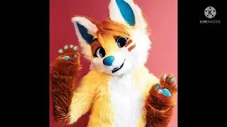 Fursuit Fox