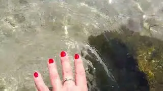#геническ