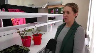 Гидропоника. Школа № 2