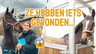 Dit heeft de kliniek gevonden bij Ernie... || Vlog #316