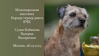 28.05.2023, выставка «Бордер терьер» ранга КЧК, Москва