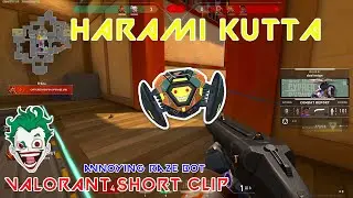 HARAMI RAZE KUTTA | SHORT  VALORANT CLIP #2